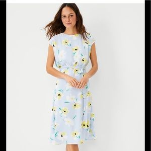 Ann Taylor dress 👗